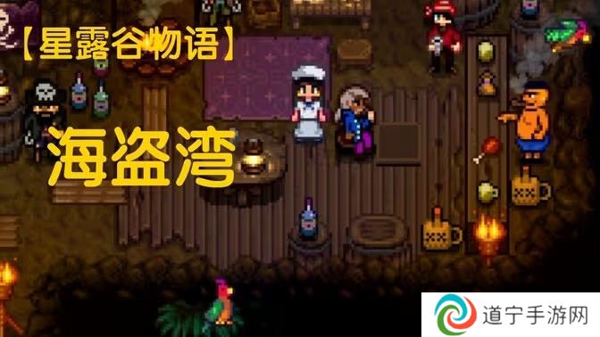 星露谷物语海盗湾怎么进 进入海盗湾方法攻略[多图]图片1