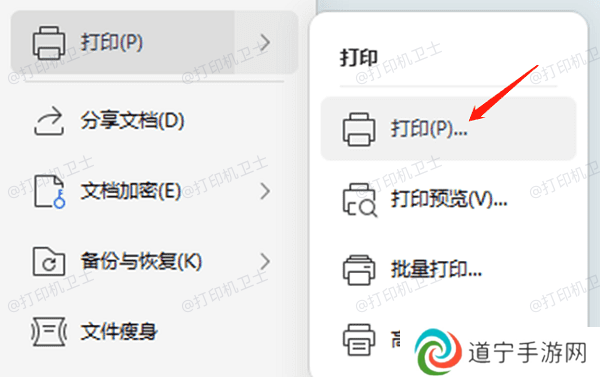 查找打印选项 查找打印选项