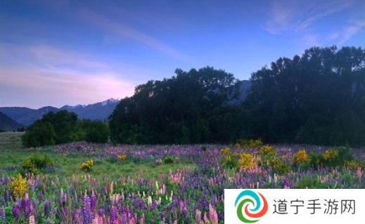 壳儿影视app最新版本下载