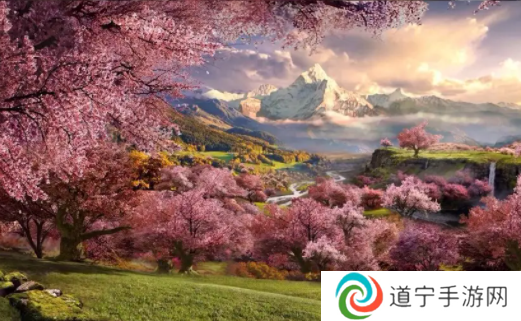 壳儿影视app最新版本下载