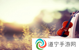 麦西来普音乐app官方版下载(Maxrap)