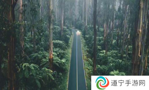 大河影视官方下载app