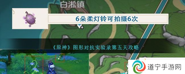 原神图形对抗实验录第五天攻略