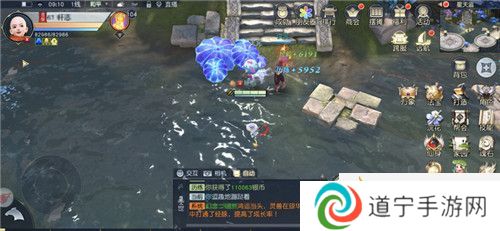 限定外观福利免费抽奖！