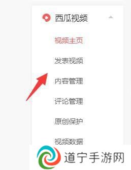 西瓜视频安卓版