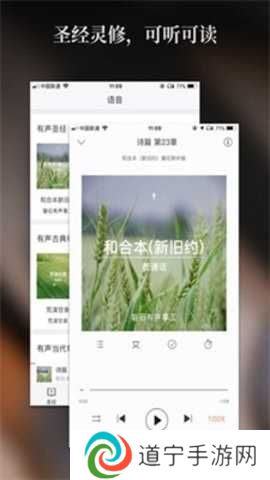 精读圣经2024免费版