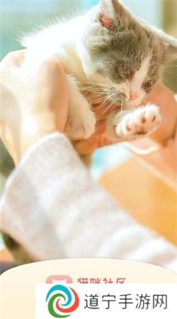 猫咪社区gps