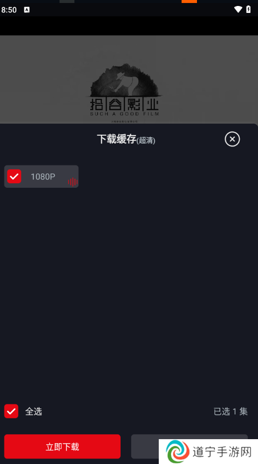 网飞猫