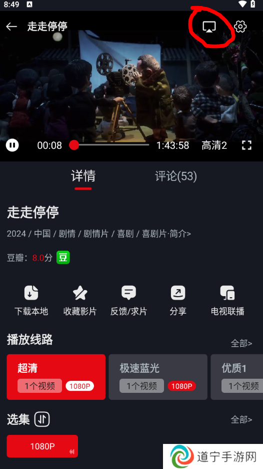 网飞猫