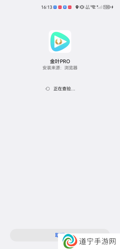 金叶PRO影视