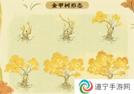 仙山小农金甲树强化效果图
