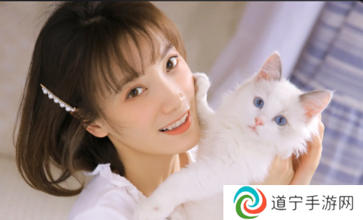 甜点语音